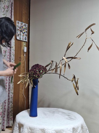 光芍さんの花 光芍さんの花