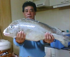 今日も夜釣り