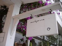 mofgmona 2008/03/28 22:39:16