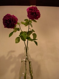 現実の世界に。。。 2008/04/11 21:25:10