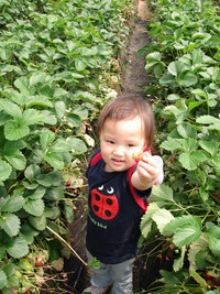旅日記。。。その３ 2008/05/26 23:54:07