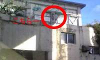 安里十字路犬 2008/08/03 13:09:55