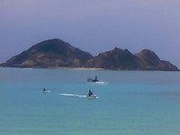 渡嘉敷島の２ 2008/08/14 18:31:21