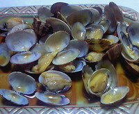 晩酌 2008/06/16 20:13:08