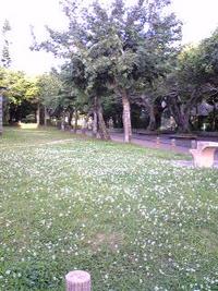 ＧＷの過ごし方(*´∀｀*)ノ 2008/05/03 17:28:48
