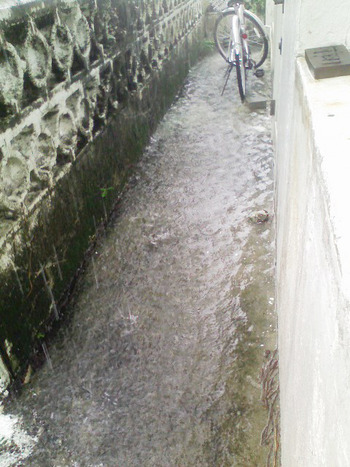 bikeriver