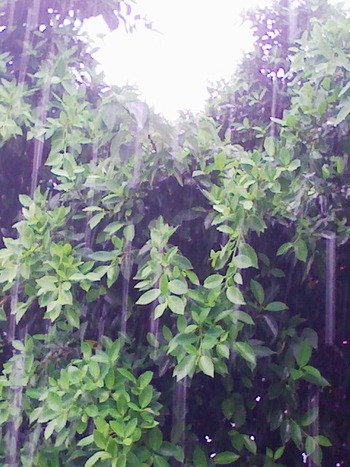 raining
