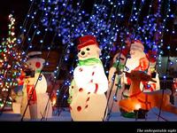 クリスマス・・・その１ 2007/11/21 00:57:51