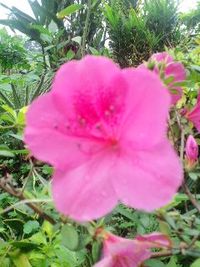 時は、常に新しい 2012/04/29 10:19:15