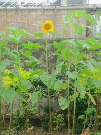 絆を大切に 2012/05/16 12:36:34