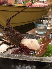 魚どーーん!