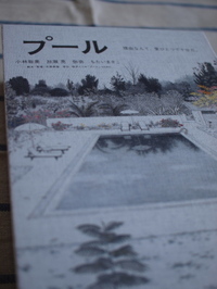 プールがやってきた。