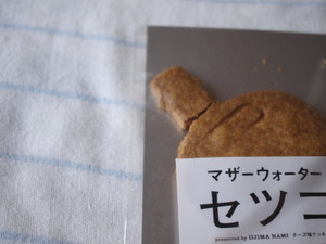 あしたへは、ダイジなことだけもっていく。