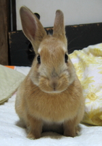YUKIE