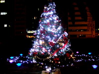OSAKA 光のルネサンス 2007 2007/12/17 22:14:49