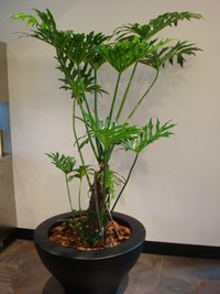 その空間に！！ 2008/07/12 18:19:03