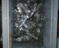 釣り〜！！ 2008/08/04 23:42:40
