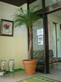 ロベ！！ 2008/07/17 07:46:16