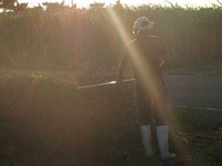 ズバっと久米島!! ~偶然というかもう必然~