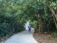タイワン・タカオの旅
