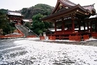 【記事更新】はだれゆき鶴岡八幡宮 2011/03/02 05:30:00