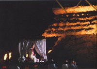 さきたま火祭り2011 2011/05/09 17:30:00
