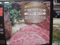 まもなく1周年