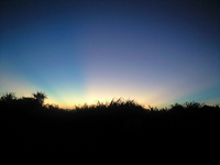 夏のオーロラ 2008/08/20 19:31:51