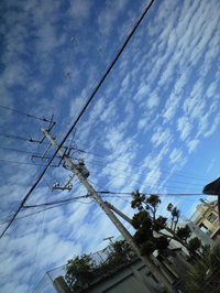 秋空とバースデイ 2008/09/24 20:39:09