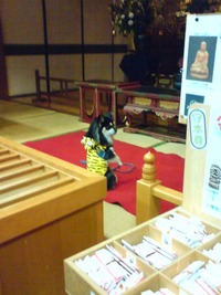 2010年01月04日