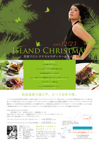 2009年11月17日