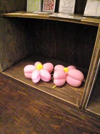 目線の先には… 2008/04/16 12:00:41