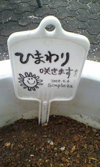 夏に向け 2008/04/08 14:11:36