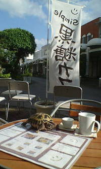 亀てぃー 2008/04/18 16:45:13