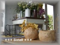 CAFE FLOWER NEO