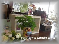 CAFE FLOWER NEO