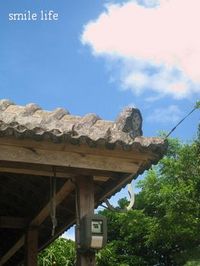 ウマチー 2008/06/19 10:31:23