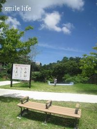 暑いです。。 2008/07/03 23:01:25