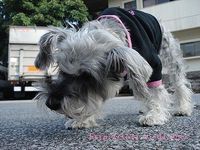バブ♪ 2008/01/10 01:30:59