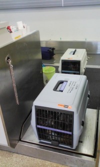 飛行機〜 2007/09/27 12:37:59
