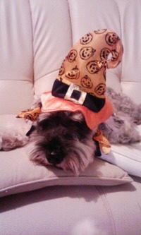 ハロウィン 2007/10/11 00:57:07