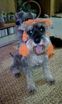 ハロウィン 2007/11/01 08:14:56