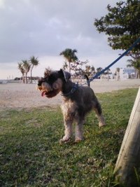 パトロール♪ 2007/11/16 04:24:16