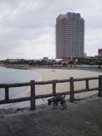 美浜にて 2008/02/19 17:38:59