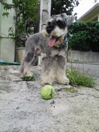 ゴメンなさい。。。 2008/05/29 23:19:09