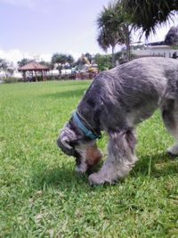 公園なりよ 2008/06/20 12:28:56
