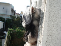 カン太チェック♪ 2008/01/07 15:37:12
