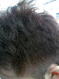 赤髪 2008/03/07 08:44:14