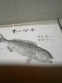 魚拓 2008/04/16 12:37:24