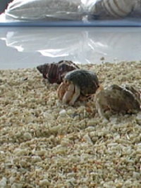 よーい！ど〜〜ん♪ 2008/06/05 12:28:03